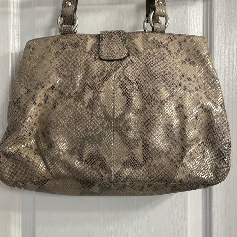Beautiful Pre Loved Python Coach - image 7